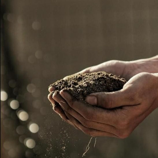 vermicompost