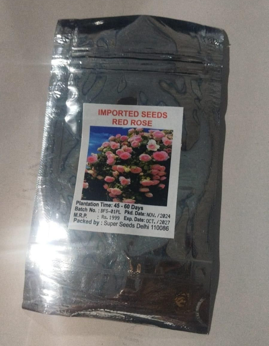 Elegant Climbing Rose Flower Seeds